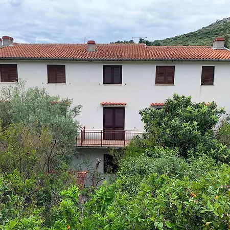 Baracuda Apartment