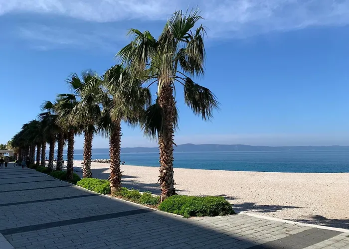 Baracuda * Podgora (Split-Dalmatia)