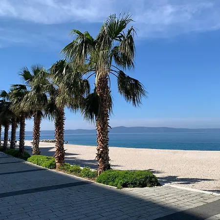 Baracuda * Podgora