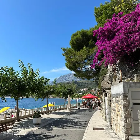 Baracuda Apartament Podgora