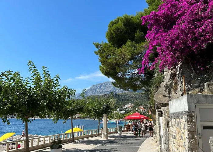 Baracuda Апартаменты Подгора